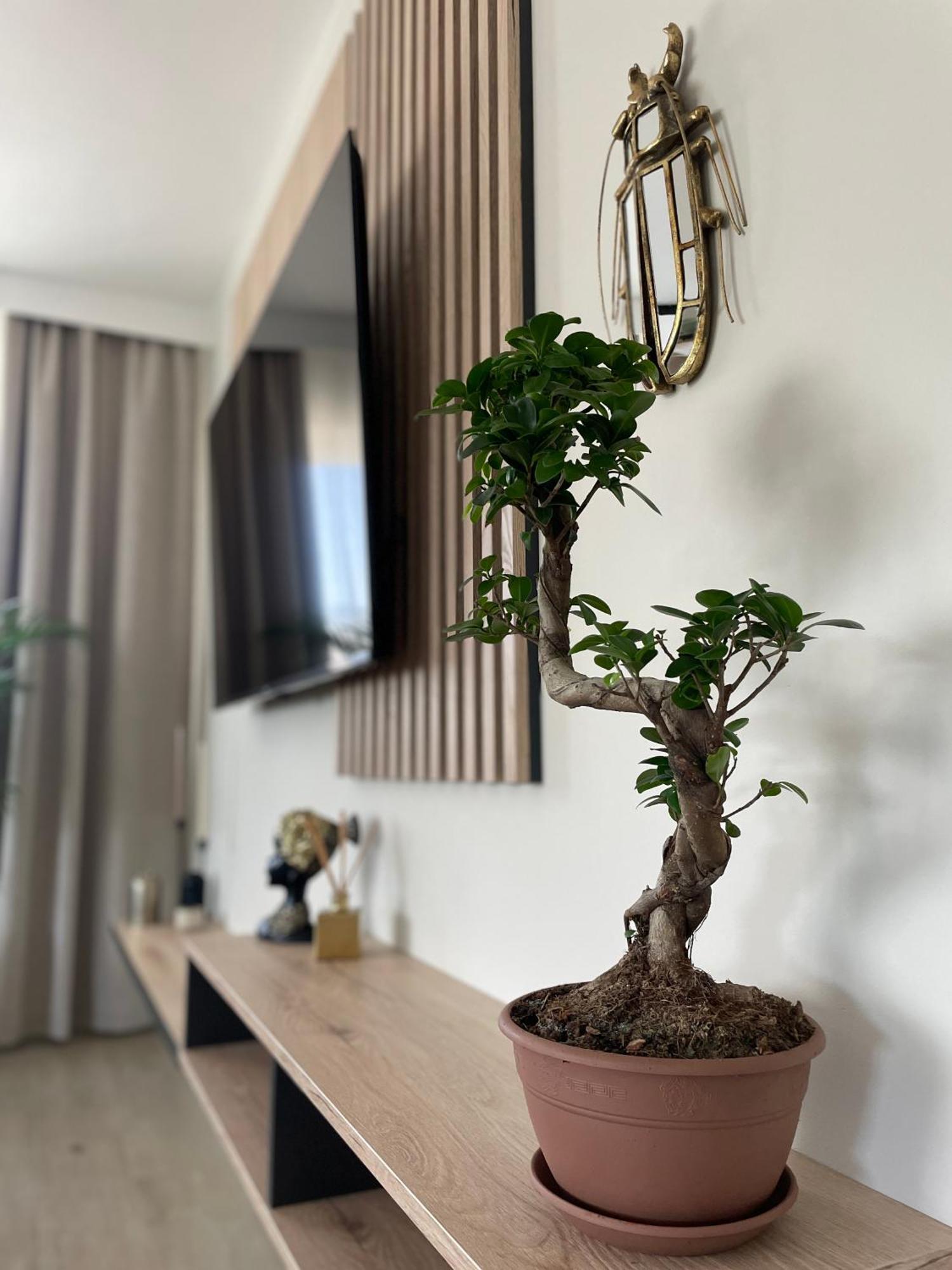 Apartament 13 Kielce Eksteriør billede